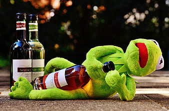 Kermit plush toy lying with wine bottles outdoors