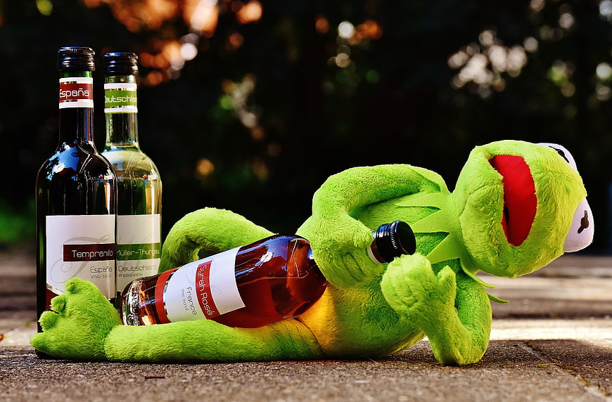 Kermit plush toy lying with wine bottles outdoors
