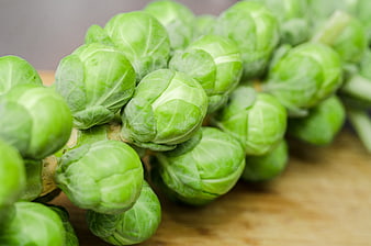 Fresh Brussels Sprouts on Wooden Cutting Board