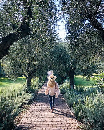 Woman in Straw Hat Walking Down Olive Grove Path