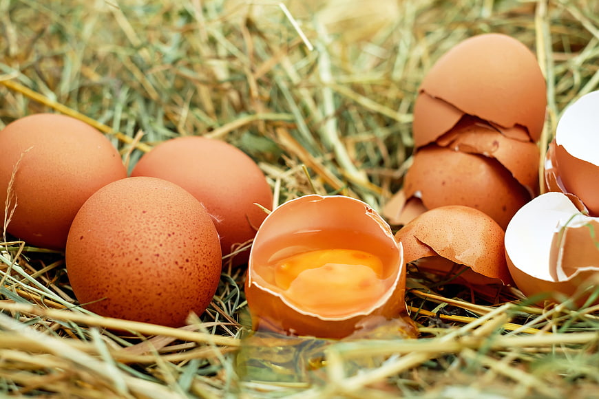 Fresh brown eggs and broken shell with yolk on straw