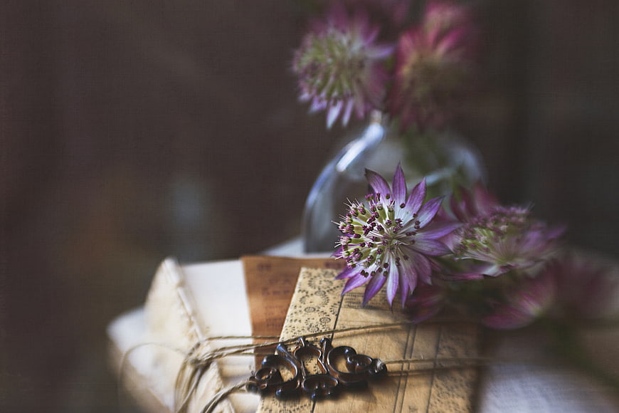 Vintage purple astilbe flowers on old books with metal clasp