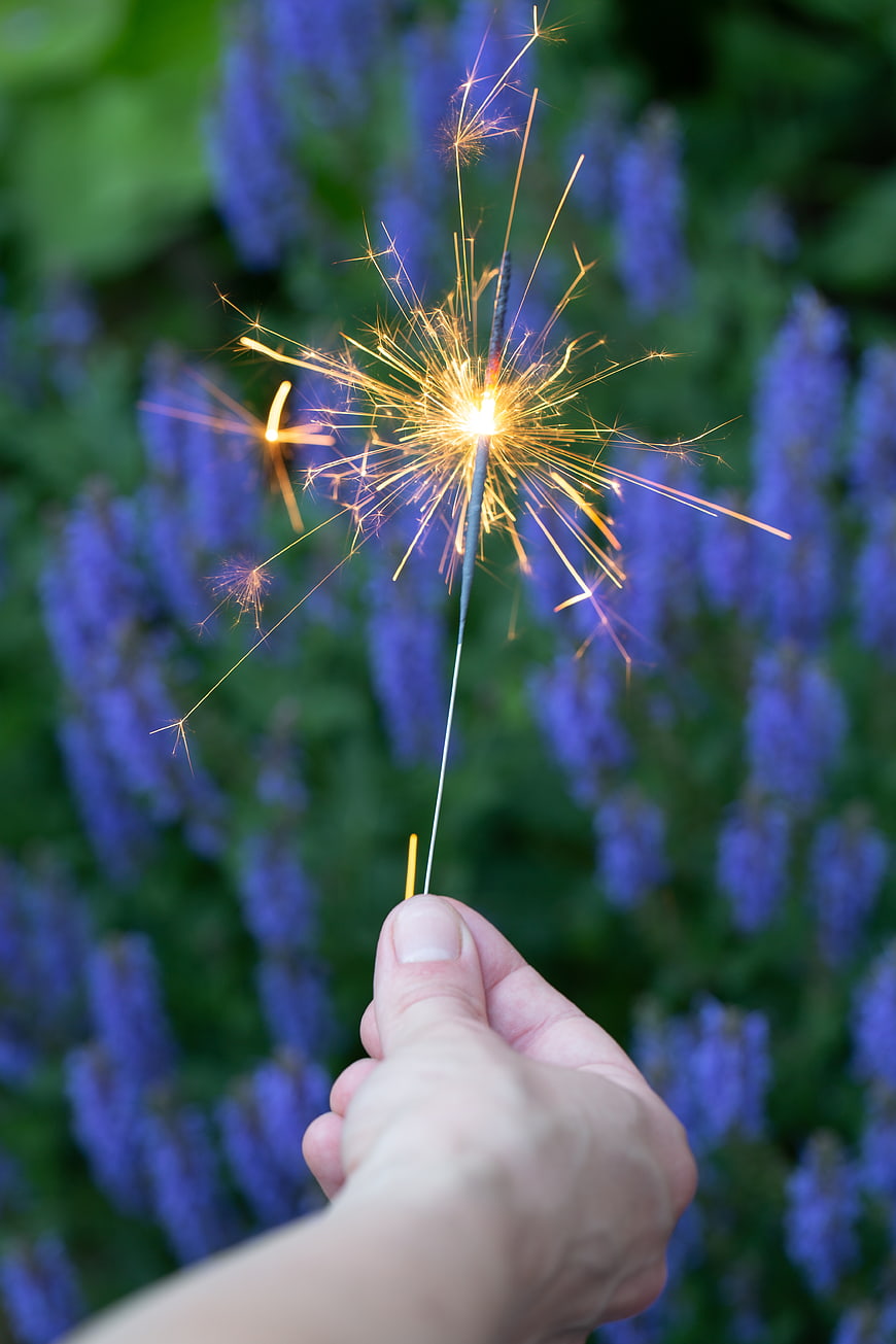 Hand Holding Sparkler Against Blue Lupine Flowers
