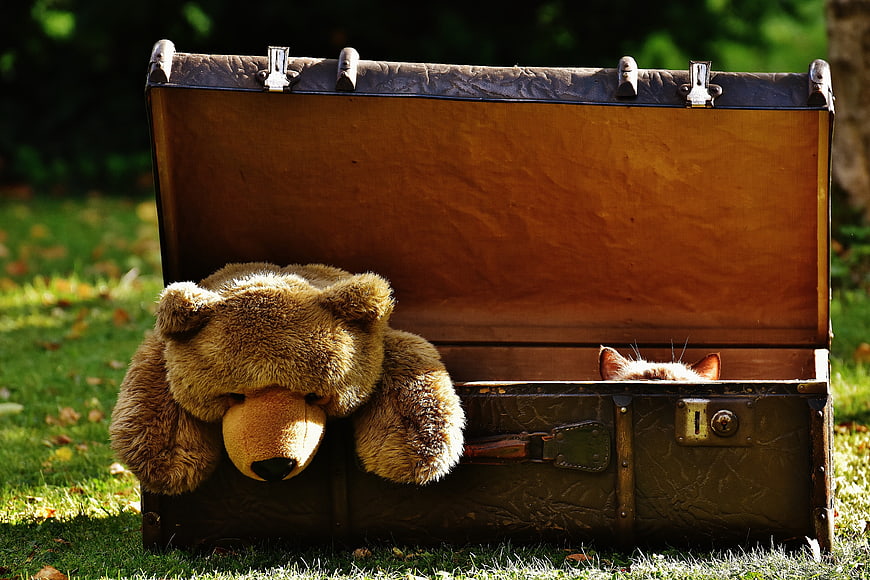 Vintage suitcase with teddy bear and cat ears peeking out