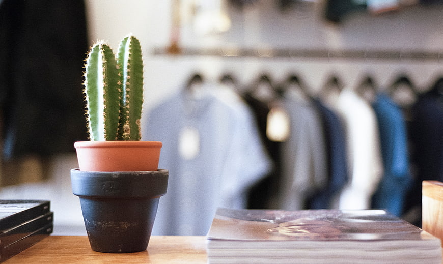 Cactus in Pot on Wooden Counter in Clothing Store
