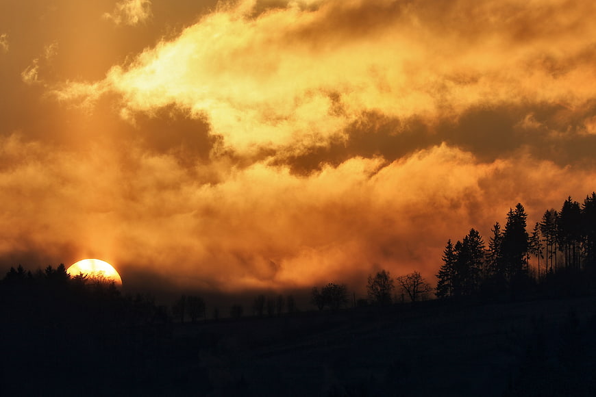 Dramatic golden sunrise over silhouetted forest landscape
