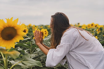 Woman Smelling Sunflowers in a Field