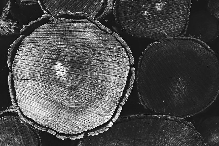 Grayscale Close-Up of Stacked Tree Trunk Cross Sections