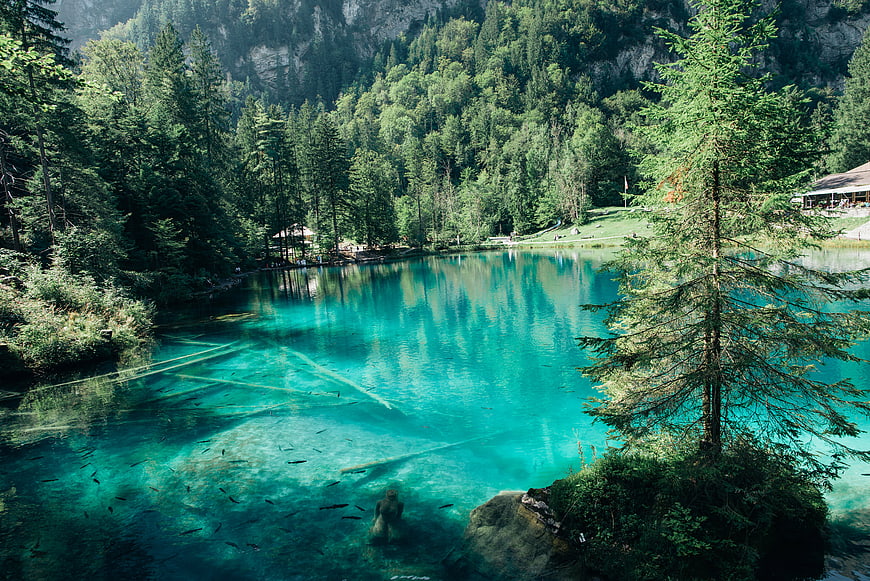 Turquoise Alpine Lake with Clear Water and Forest Reflections