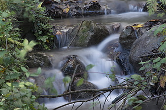 Long Exposure Forest Stream Flowing Over Rocks