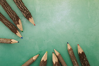 Rustic bark-textured colored pencils on green background