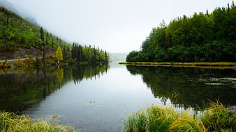Serene River Flanked by Forested Hills in Misty Morning