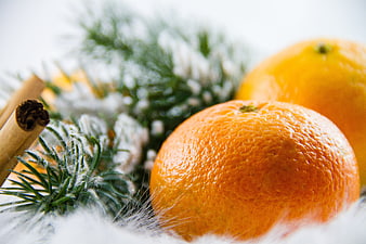 Close-up of fresh tangerines with fir branches and cinnamon sticks