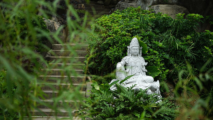 White Guanyin Statue Amidst Lush Green Foliage and Stone Steps