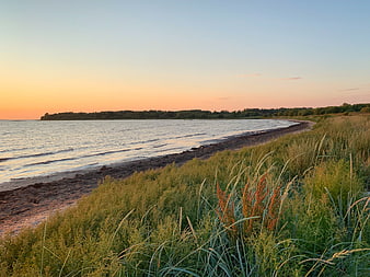Serene Lake Shore at Sunset with Tall Grass and Forested Island