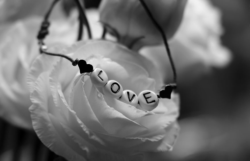Black and white love bracelet on white rose petals