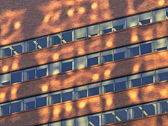 Modern Brick Building Facade with Sunlight Shadows