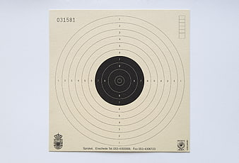 Blank Paper Shooting Target With Concentric Scoring Rings