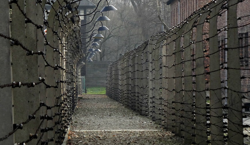 Auschwitz Concentration Camp Barbed Wire Fence Path