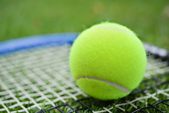 Close-up of Tennis Ball on Racket Strings