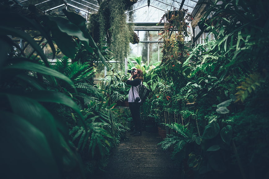 Woman photographer taking photos in lush greenhouse