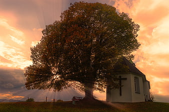 Sunset rays through tree next to chapel