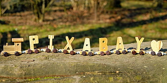 Wooden Toy Train Spelling Pixabay On Log