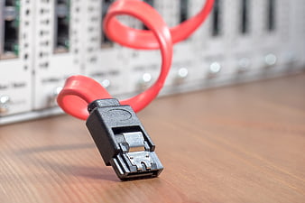 Red Ethernet Cable Connector on Wooden Desk