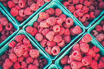 Fresh Raspberries in Blue Cardboard Containers
