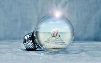 Polar Bear in Lightbulb Concept for Climate Change