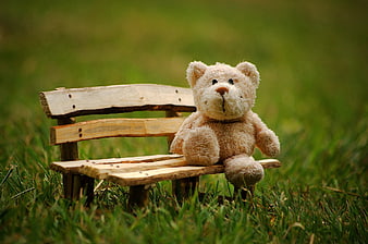 Cute teddy bear sitting on a miniature wooden bench in grass