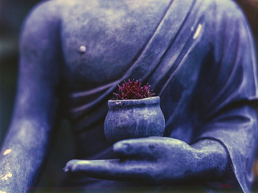 Blue Buddha statue holding a small red plant in a clay pot
