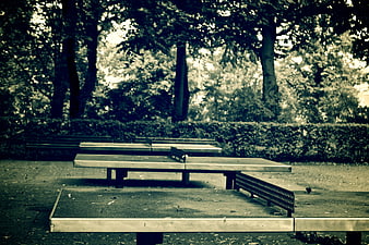 Empty Outdoor Table Tennis Tables in a Park