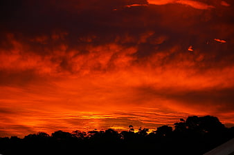 Dramatic fiery red sunset sky with dark tree silhouettes