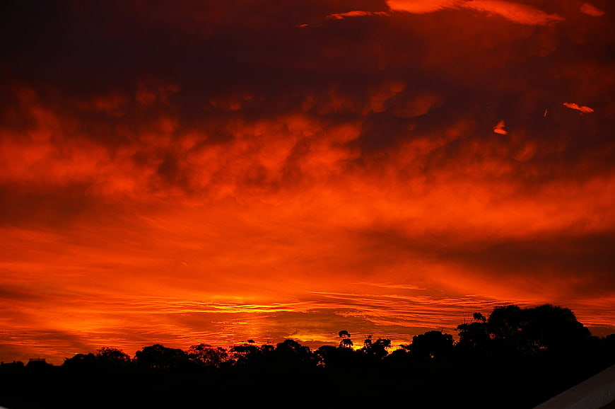 Dramatic fiery red sunset sky with dark tree silhouettes