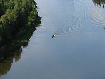 Aerial View of Small Boat on Calm River with Forest Bank