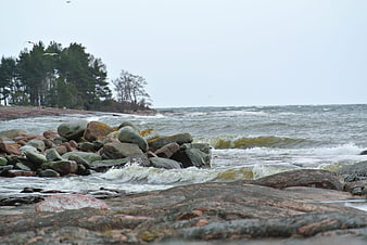 Rugged rocky coastline with crashing waves and pine forest