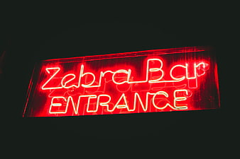 Red Neon Zebra Bar Entrance Sign at Night