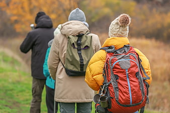 Group of Hikers Walking Away in Autumn Forest