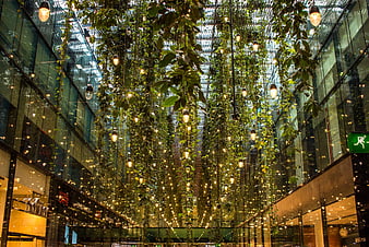 Modern indoor atrium with hanging plants and lights