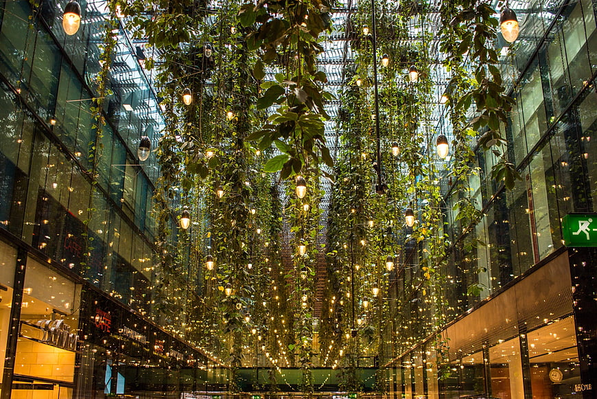 Modern indoor atrium with hanging plants and lights
