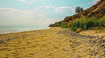 Sandy Beach Shoreline with Cliffs and Ocean Horizon