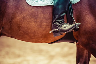 Close-up of equestrian boot in stirrup on brown horse