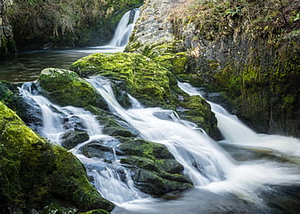 Mossy Rocks and Waterfall in Lush Forest Stream