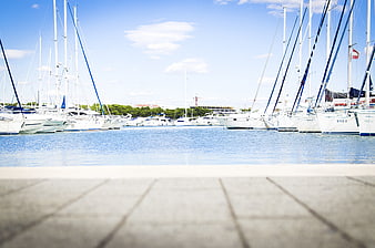 Sailboats docked in a sunny marina with blue sky