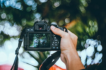 Hand holding DSLR camera with bokeh background