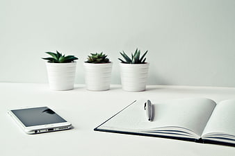 Minimalist white desk with smartphone, notebook, and succulents