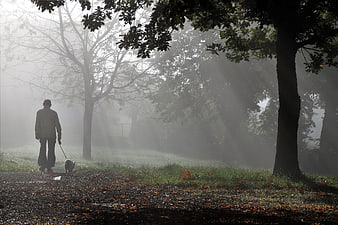 Man walking dog on leash in foggy autumn park