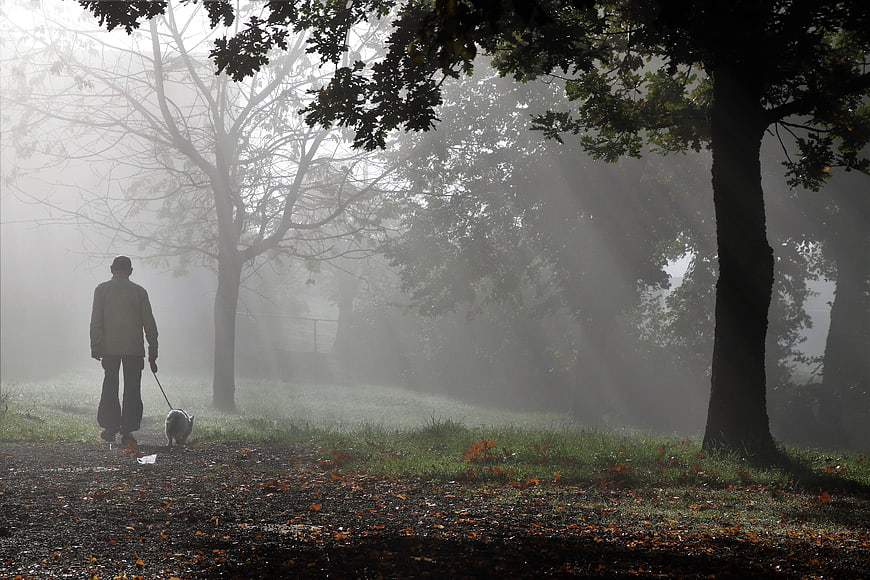 Man walking dog on leash in foggy autumn park