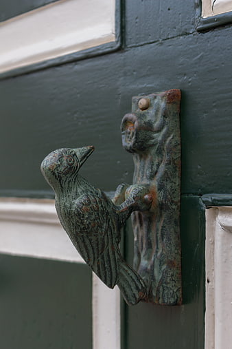 Vintage Bronze Bird Door Knocker on Green Wooden Door